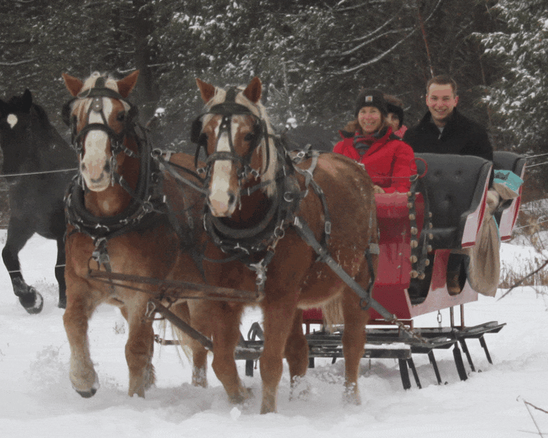 Private Horse-Drawn Sleigh Ride in Princeton