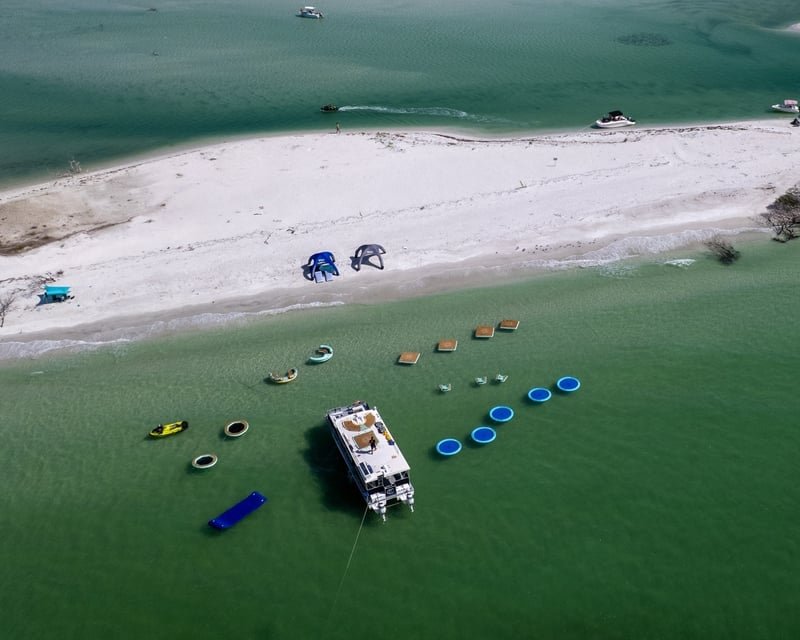 Shell Key Dolphin Cruise & Beach Day from St. Petersburg