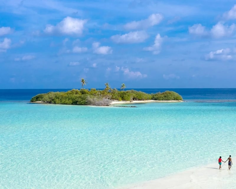 Private Sandbar Boat Tour in Venice, FL