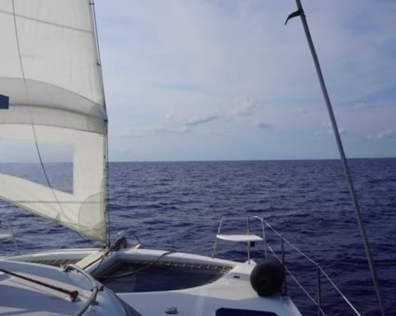 Cruise Key West Sandbar Or Reef Shared Charter