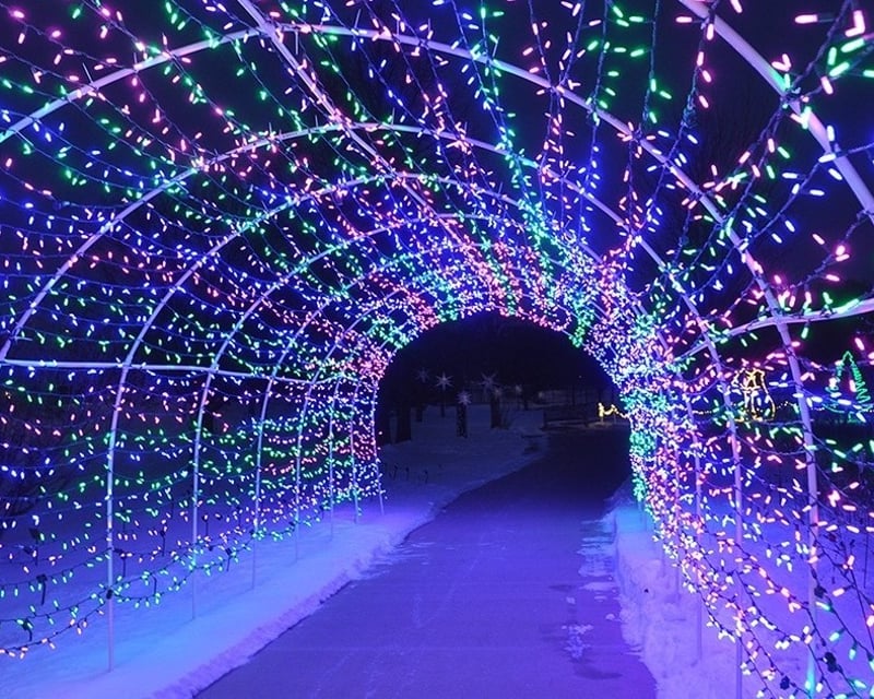 Winter Wonderscape Holiday Light Show at Reiman Gardens