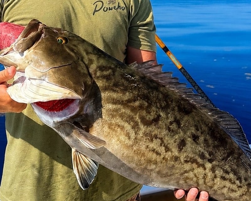 Private Full-Day Bottom Fishing in Santa Rosa Beach