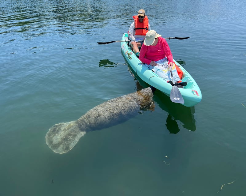 Three Sisters Springs Clear Kayak Guided Tour