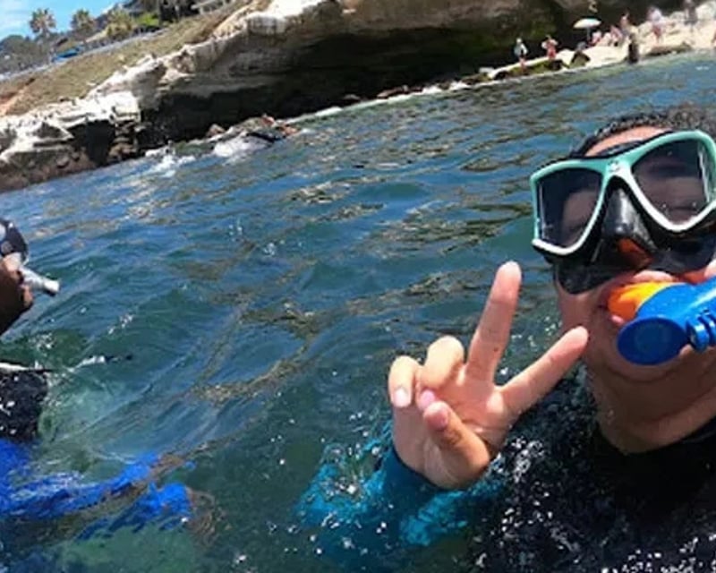 La Jolla Cove Sea Lion & Cave Snorkeling Tour
