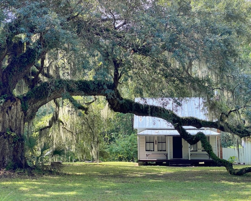 Round-Trip Water Taxi to Daufuskie Island from Savannah