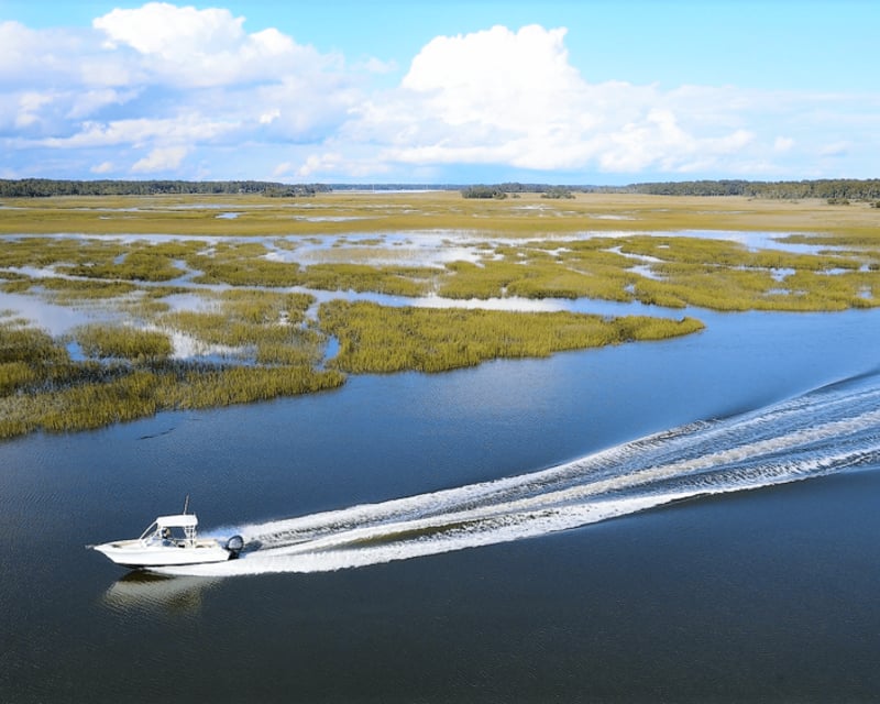Hilton Head Island Dolphin & Sandbar Cruise