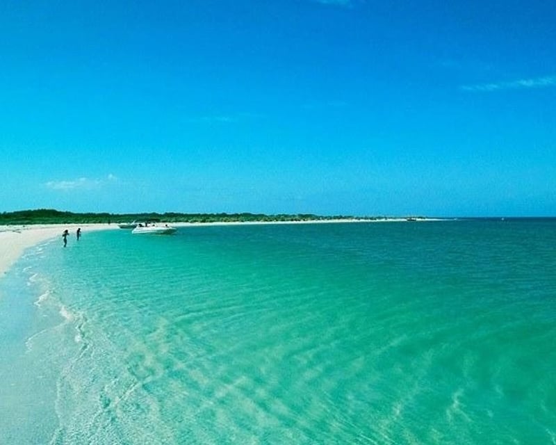 2-Hour Dolphin & Snorkeling Cruise to Shell Key