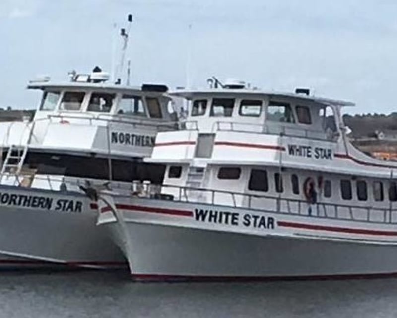 Hampton Beach 4-Hour Whale Watching Cruise