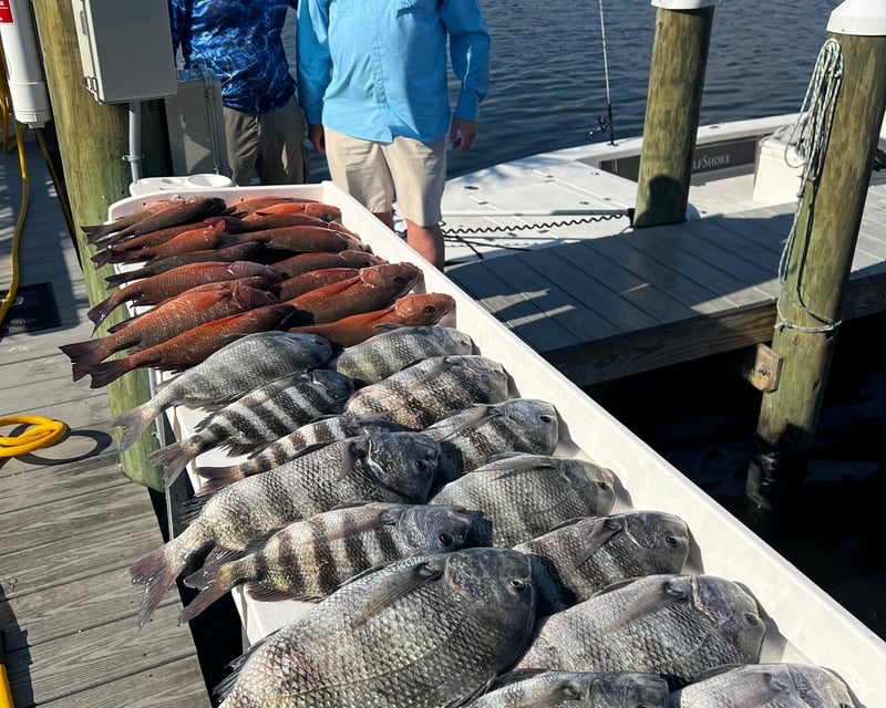 Mangrove Snapper & Hogfish Fishing Charter in Crystal River