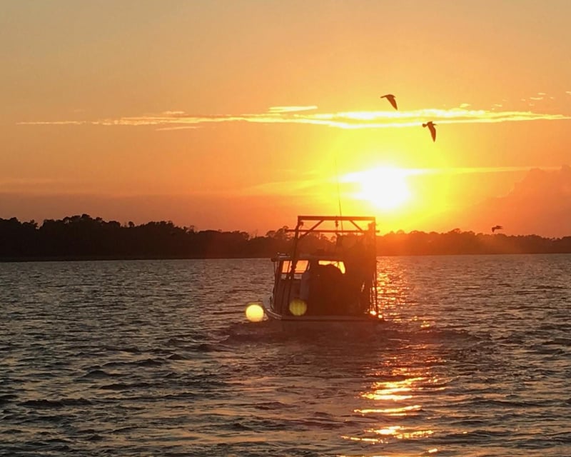 Sunset Cruise in Hilton Head Island