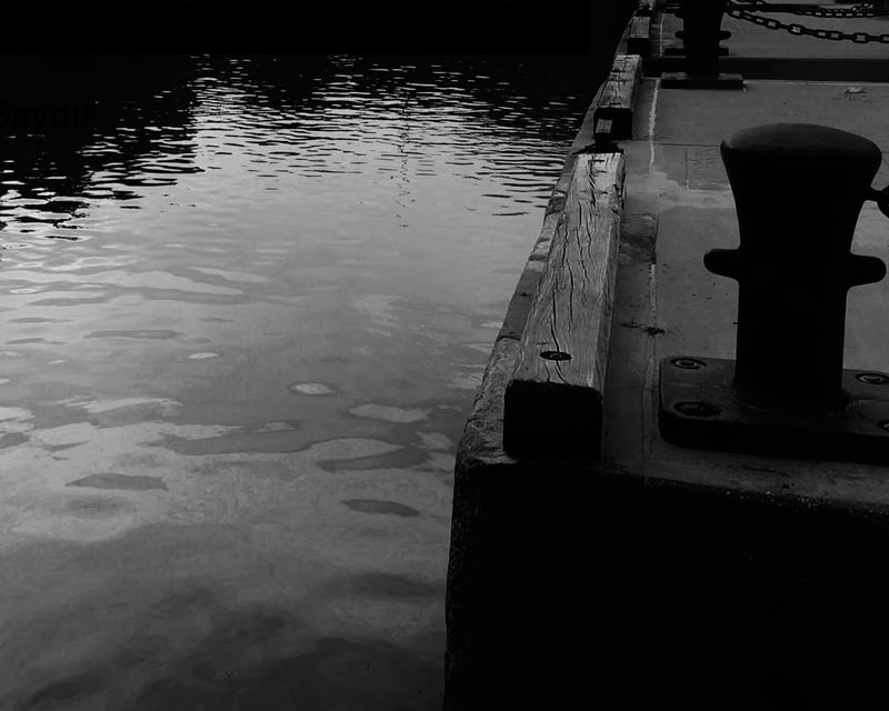 Buffalo Bayou Ghost Story Boat Tour in Houston