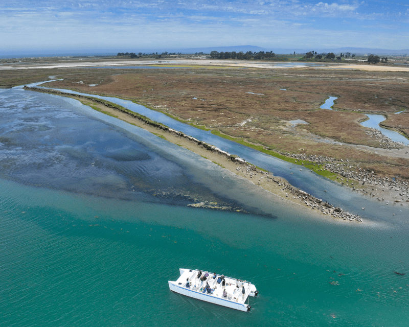 Elkhorn Slough 1.5-Hour Wildlife Cruise