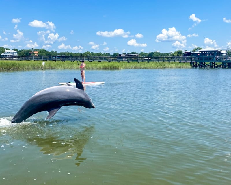 Kayak & Paddleboard Rentals In Shem Creek