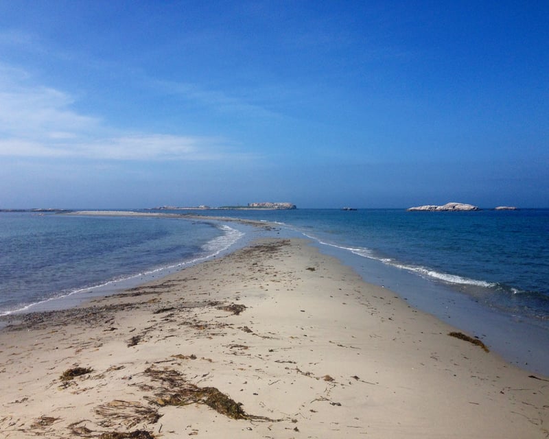 Explore Little Compton Beaches on a 2-Hour Bike Tour