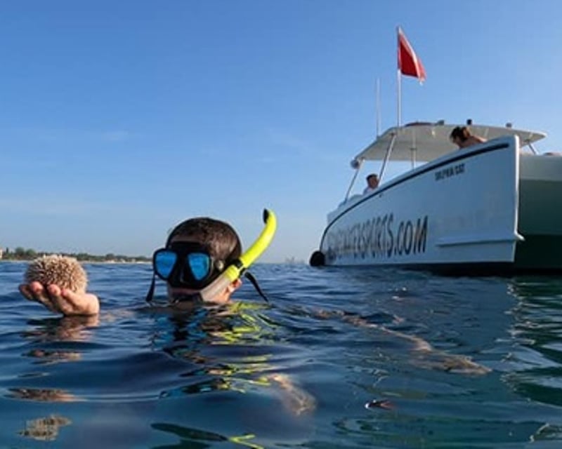Snorkel Peanut Island Artificial Reef Boat Tour