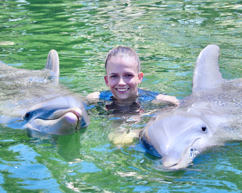 Private Dolphin Swim in Key Largo