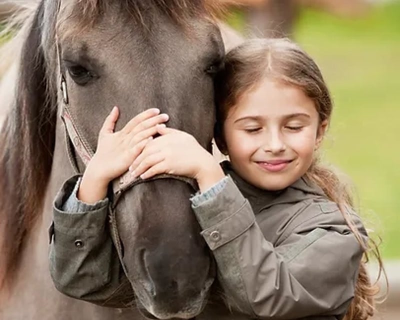 All-Ages Pony Grooming Lesson in Finksburg, MD