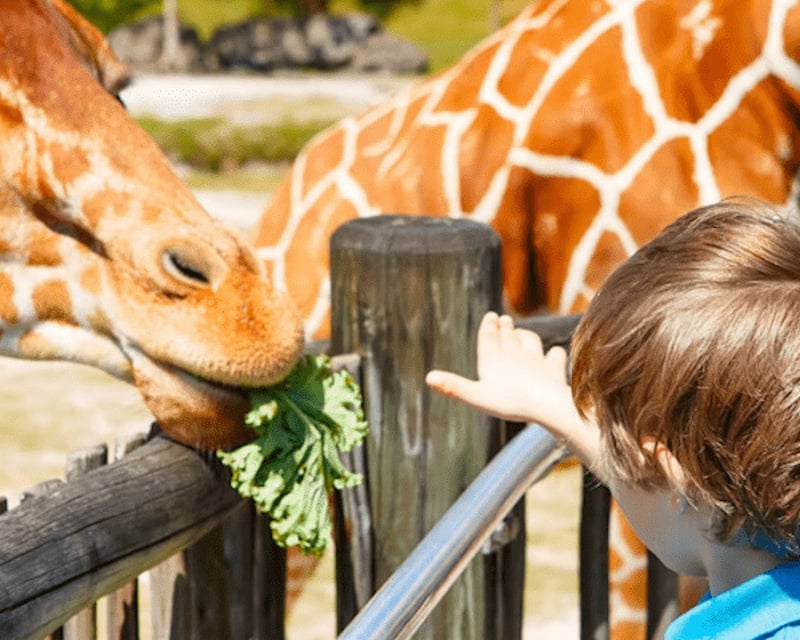 Zoo Miami Admission Ticket to Florida's Largest Zoo