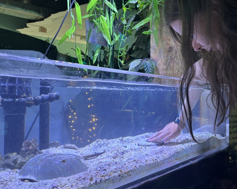Crystal River Nature Center Aquarium Admission