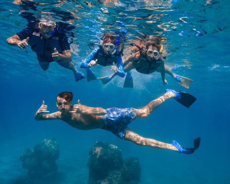 2-Hour Guided Snorkel Tour From Kaʻanapali Beach