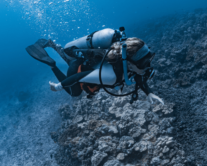 Semi-Private 2-Tank Discover Scuba Diving by Boat