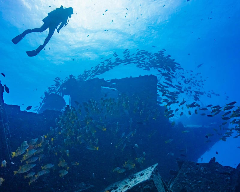 Haleiwa Scuba Diving: 2 Tank Dive All Levels