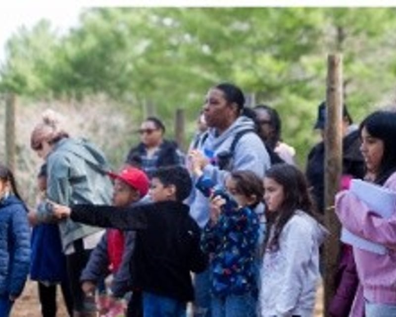 Hands-On Family Farm Tour with Livestock in Stafford