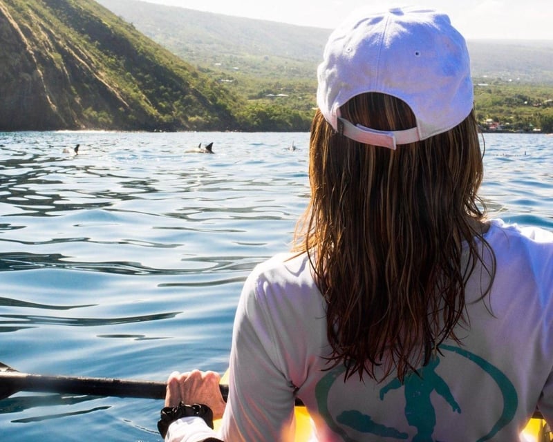 All-Day Double & Triple Kayak Rental in Captain Cook