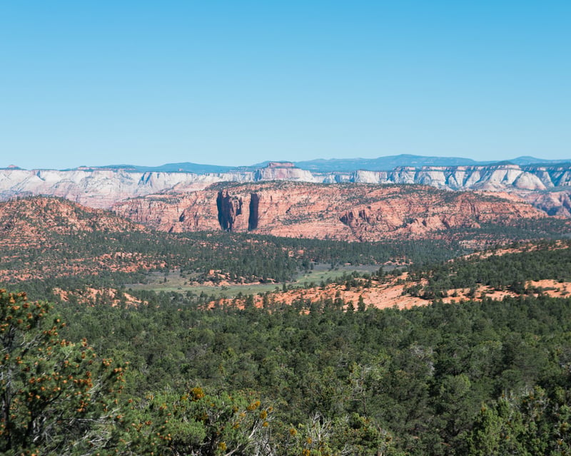 Private UTV Tour Near Zion with Dinosaur Tracks