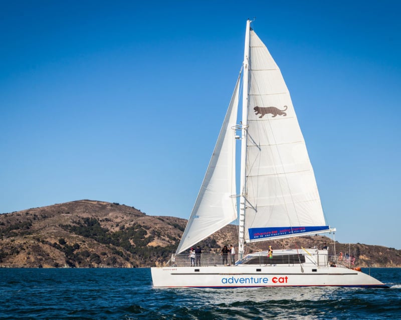 1.5-Hour San Francisco Bay Catamaran Sail