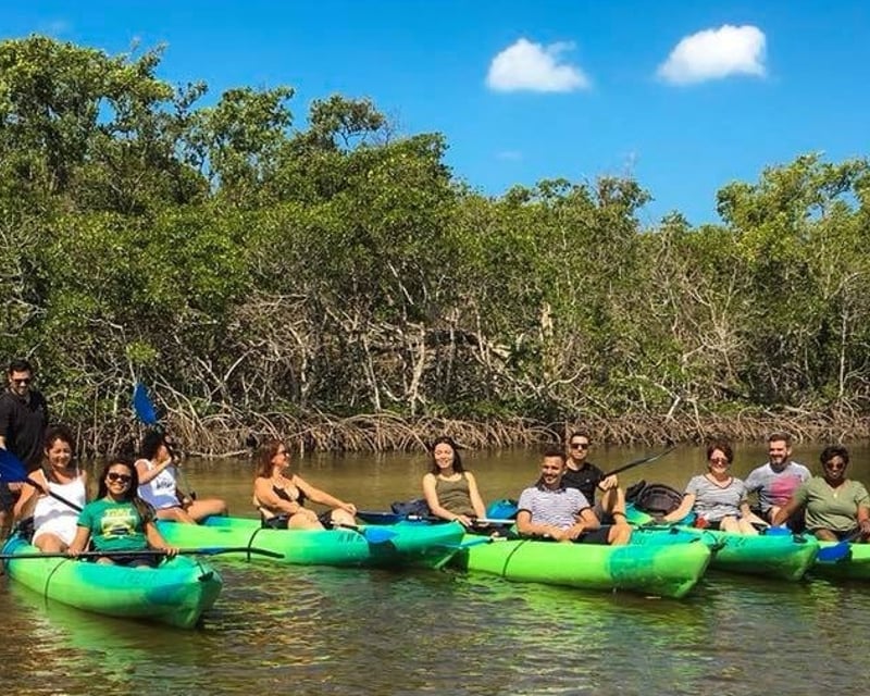 Cocohatchee River 4-Hour Kayak & SUP Rental