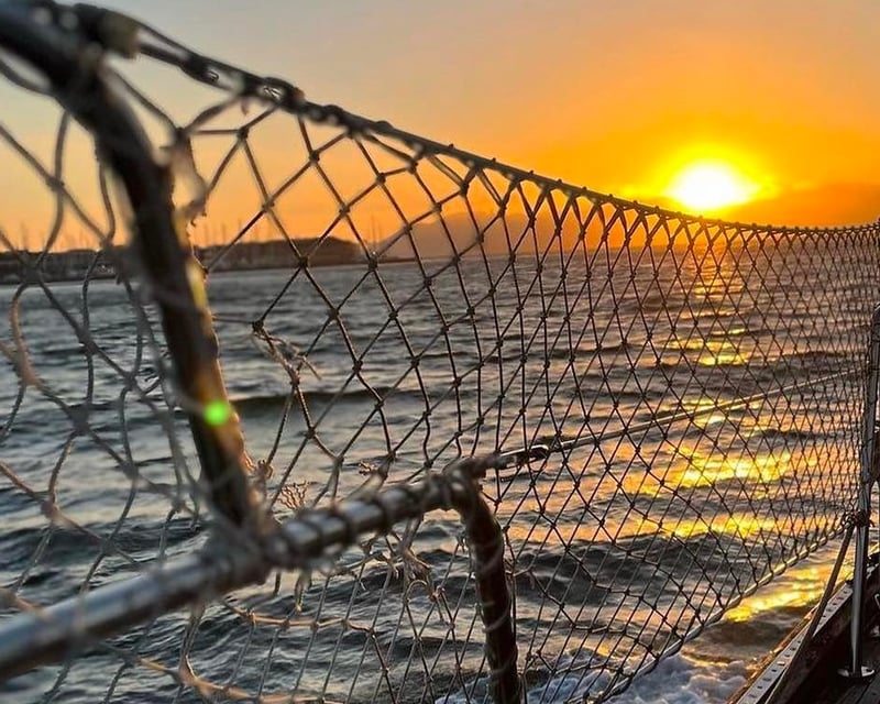 San Francisco Bay Sunset Sailing Cruise