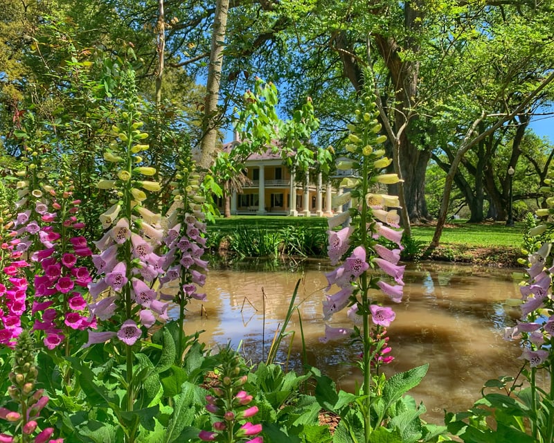 Explore Houmas House Self-Guided Garden Tour