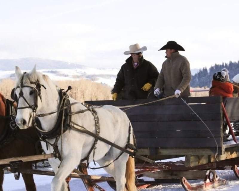 Private Horse-Drawn Sleigh Ride in Wilson, WY