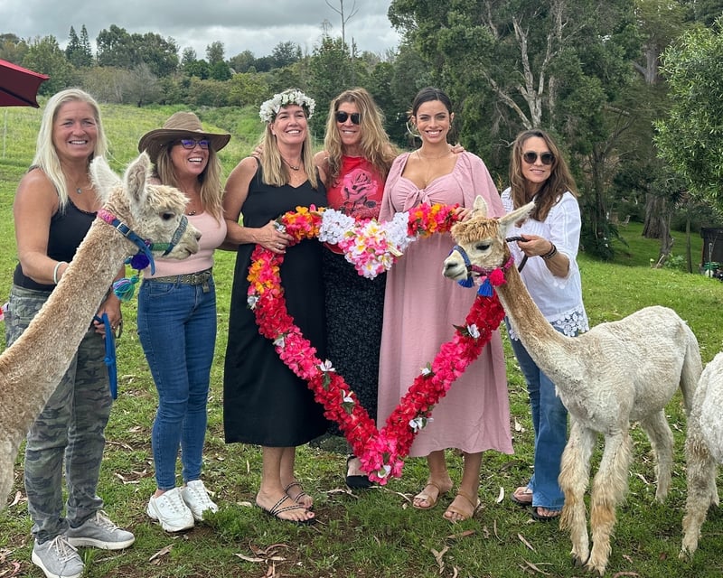 Alpaca Picnic & Angora Bunny Visit in Makawao, Maui