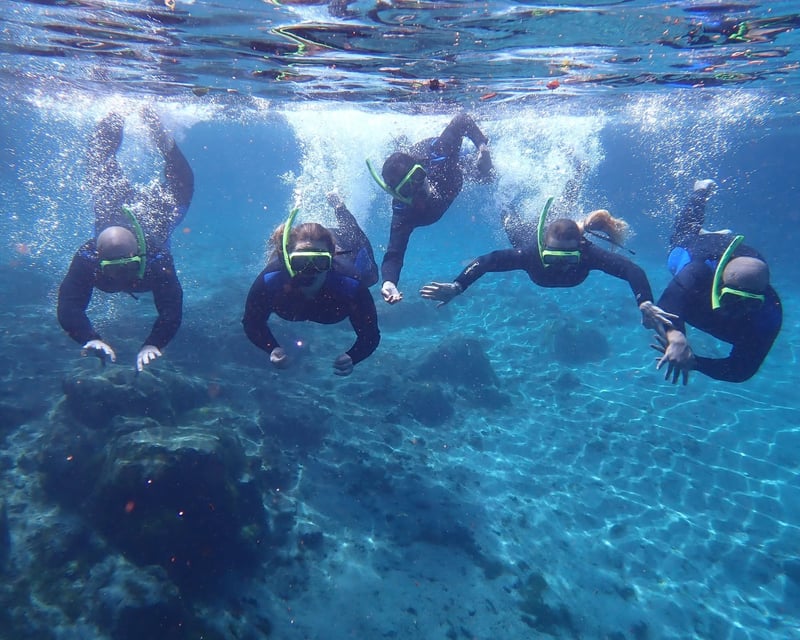 Private Kings Bay Manatee Swim Tour in Crystal River