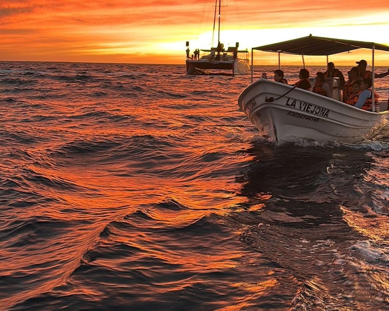 Sunset Land's End Cruise in Cabo San Lucas
