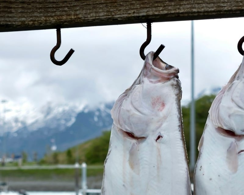 Private Full-Day Halibut Fishing Charter in Homer, AK