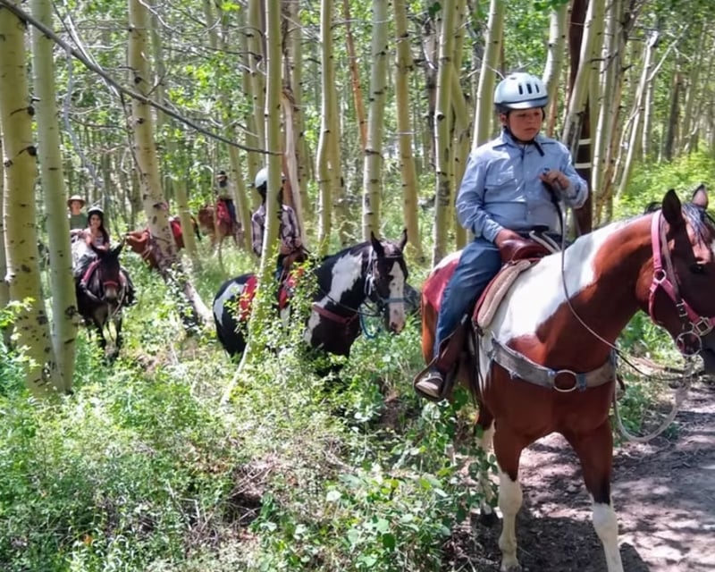 1-Hour Mountain Trail Horseback Ride in Bishop