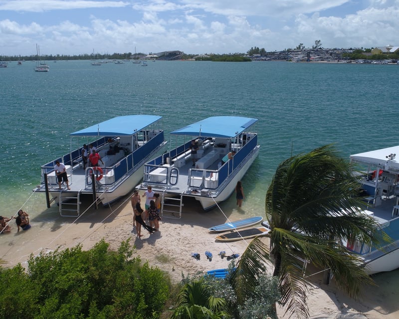 Miami Island Swim Cruise
