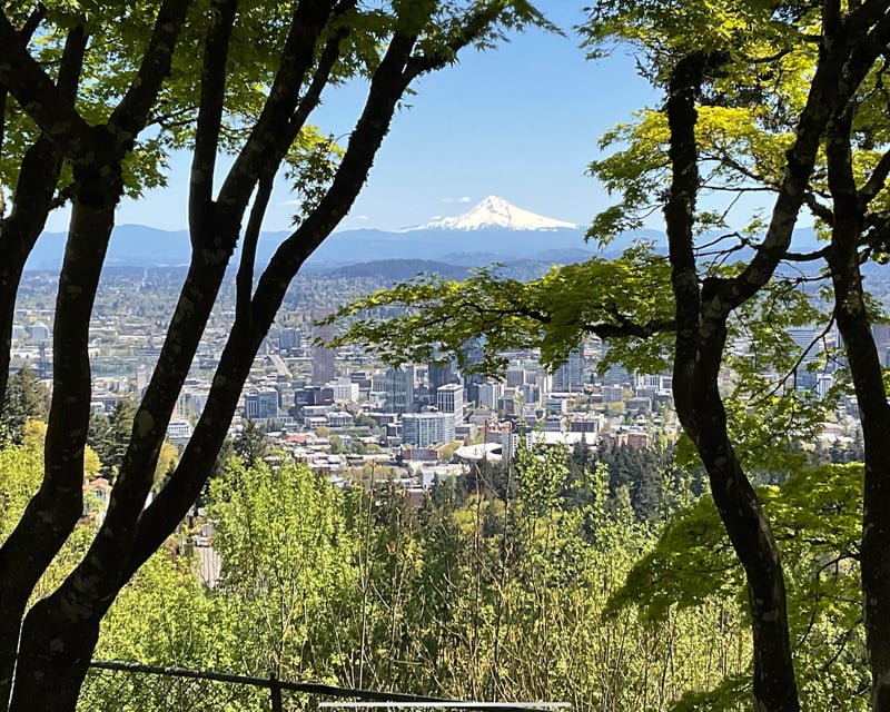 Guided Portland City Tour 3-Hour