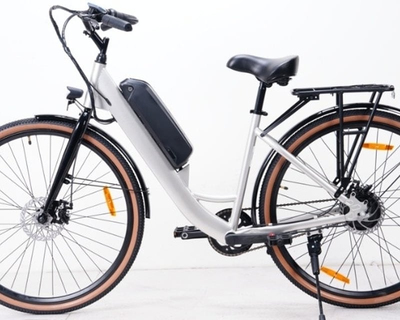 6-Hour E-Bike Rental on Catalina Island