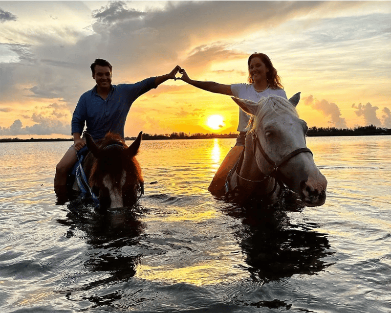 Ride a Sea Horse at Sunset in Bradenton