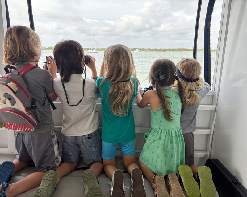 Dolphin Watching Cruise with BYOB & Guides