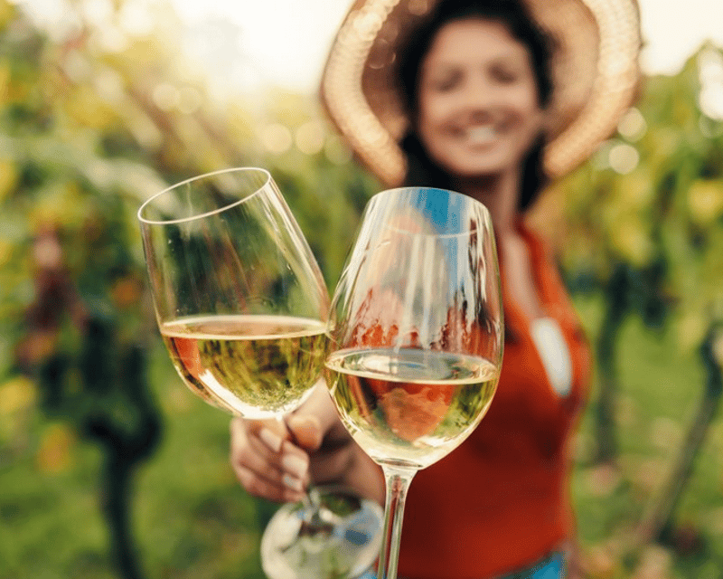 Explore Redwoods & Wine Tasting From San Francisco