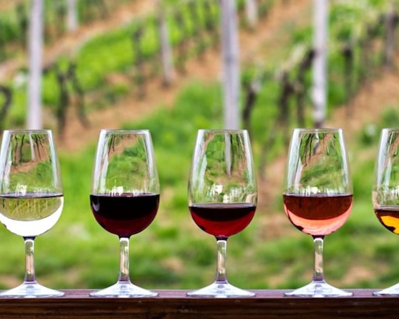 Half-Day Hill Country Wine Tour from Austin