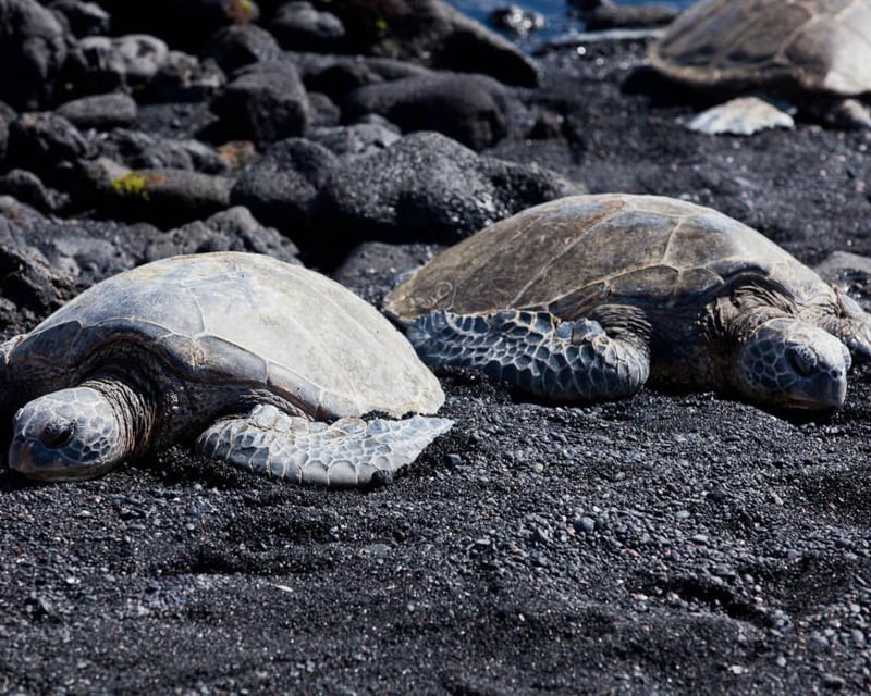 Big Island Circle Tour to Hawaiʻi Volcanoes National Park