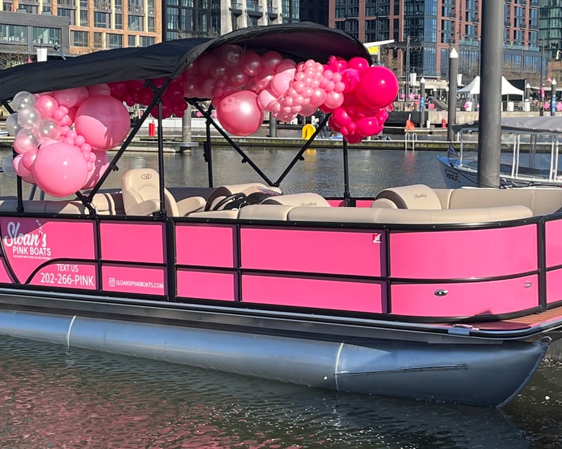 Private Pink Pontoon Boat Cruise in Washington DC