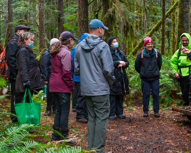 Wild Mushroom Foraging Tour in Brinnon