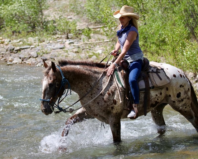 Full-Day Guided Horseback Ride in Jackson Hole